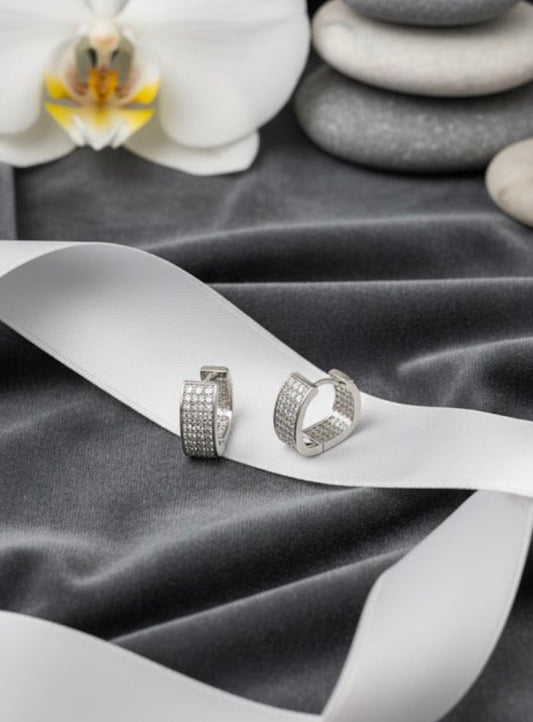 Sterling silver Hoop Earrings S4726888